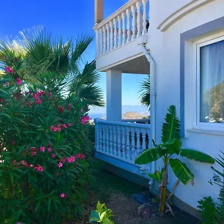 Seaview * يالِكافاك